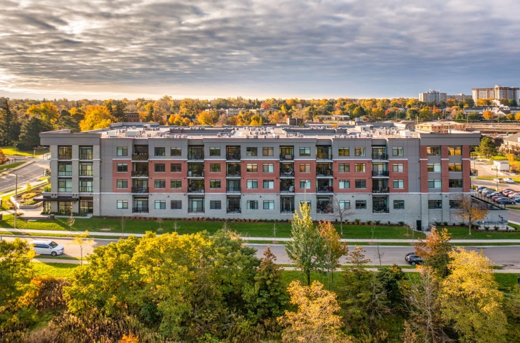 Reveal Animation Image