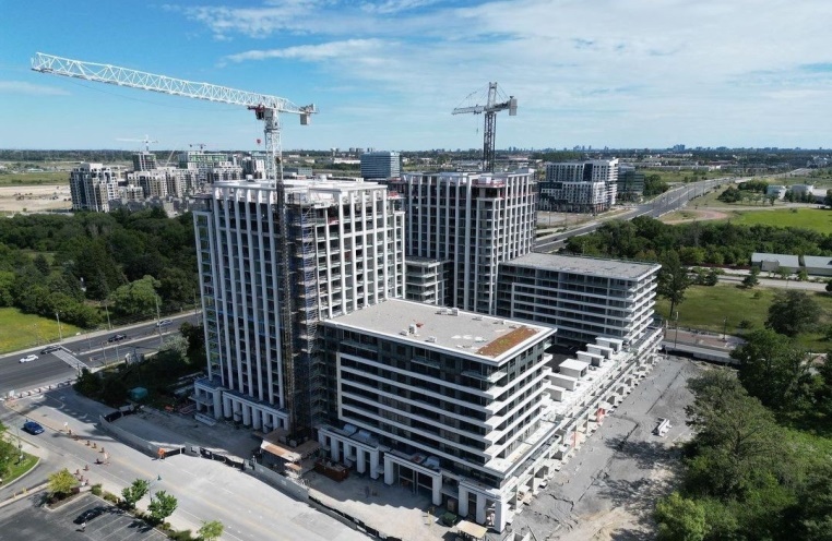 Reveal Animation Image